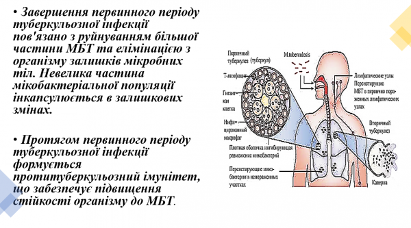 Book Page