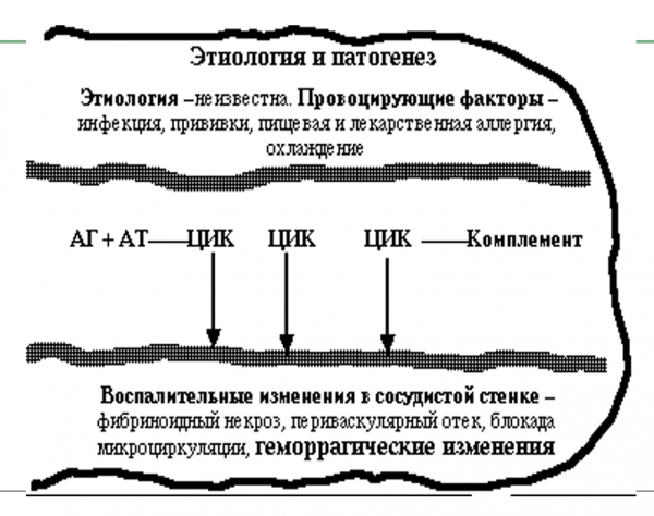Book Page