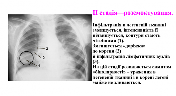 Book Page