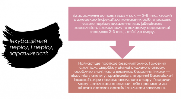 Book Page