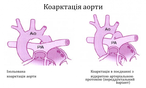 Book Page