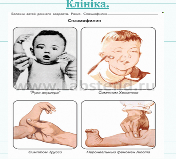 Book Page