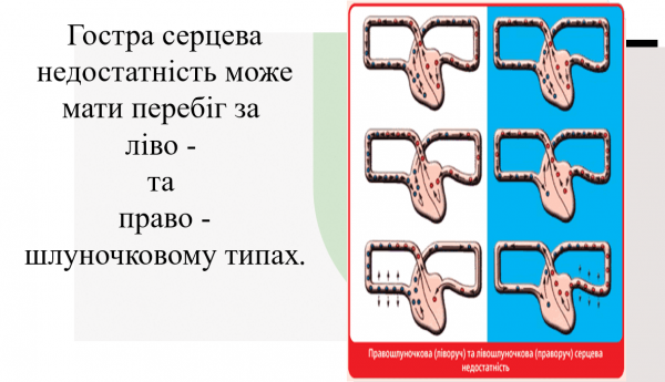 Book Page