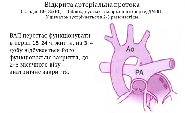 Book Page