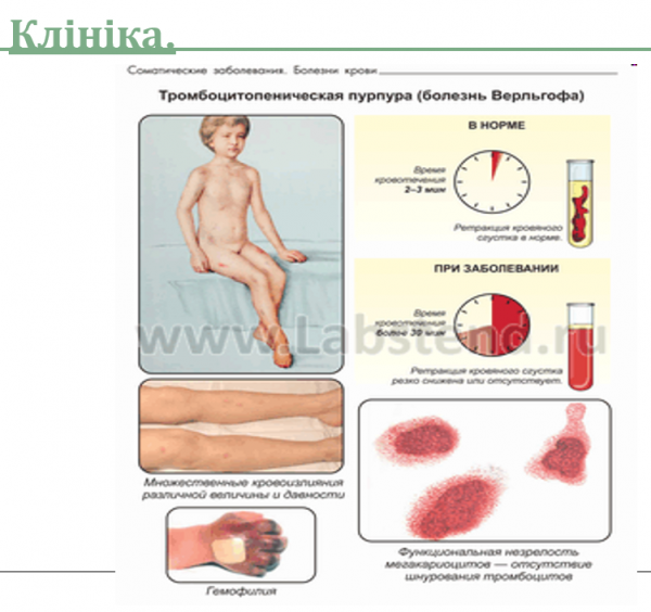 Book Page