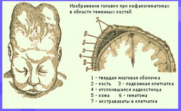 Book Page