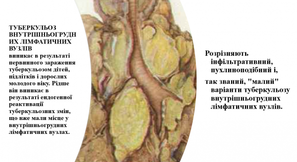 Book Page