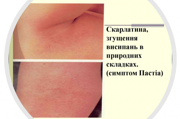 Book Page
