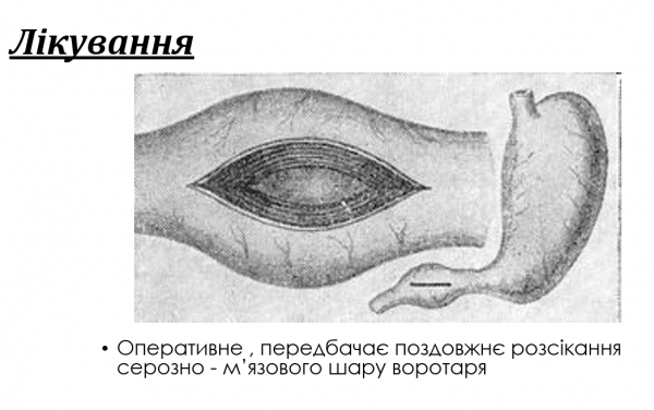 Book Page