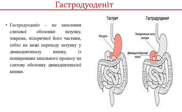 Book Page