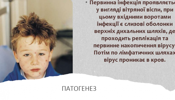 Book Page