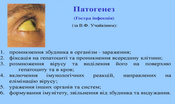 Book Page