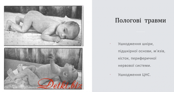Book Page