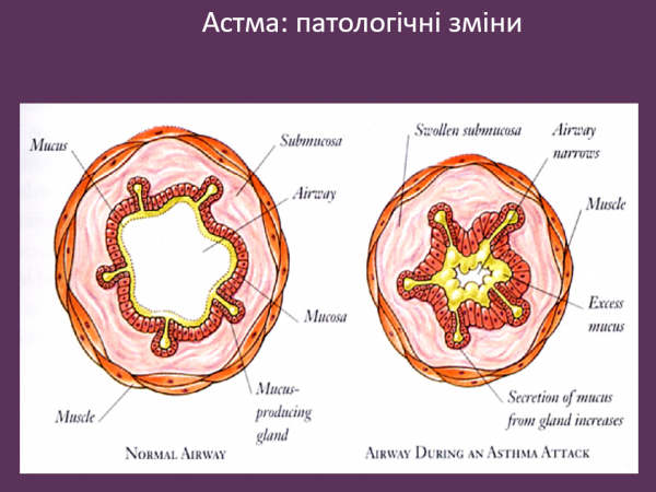 Book Page