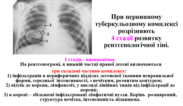 Book Page