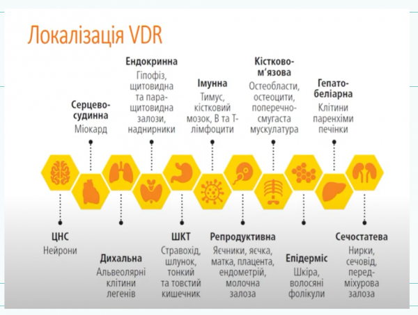 Book Page