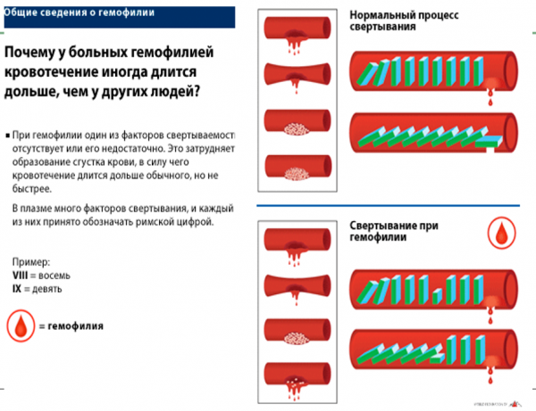 Book Page