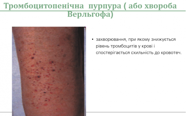 Book Page