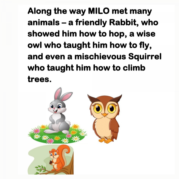 Book Page