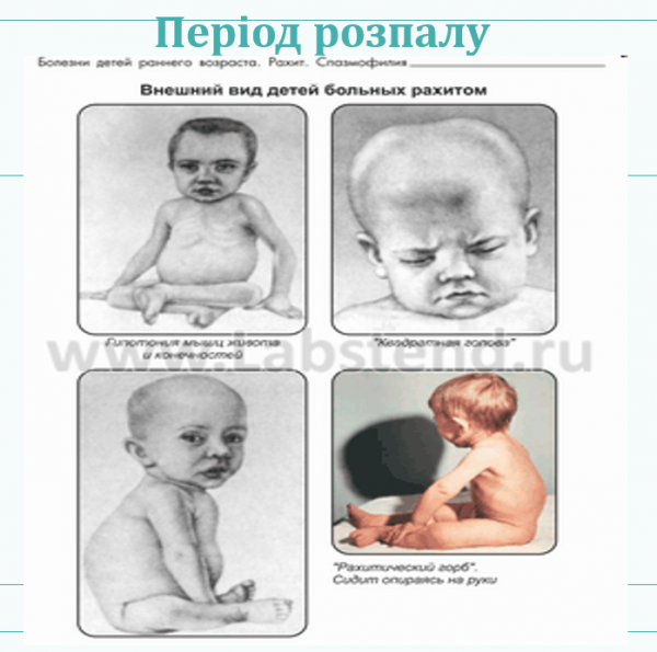 Book Page