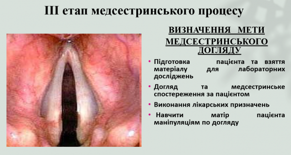 Book Page