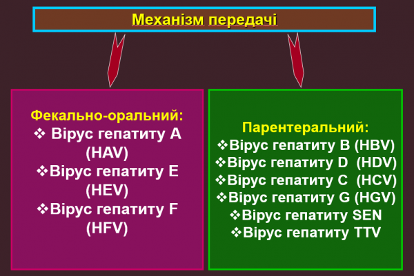 Book Page