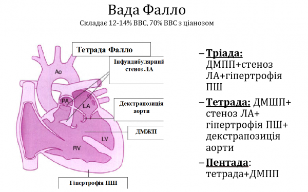 Book Page