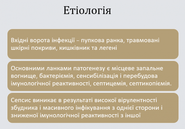 Book Page