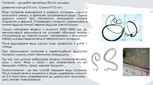 Book Page