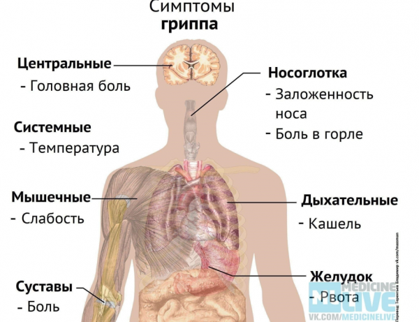 Book Page