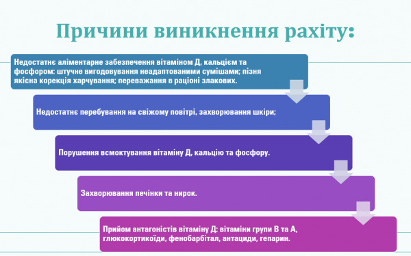 Book Page