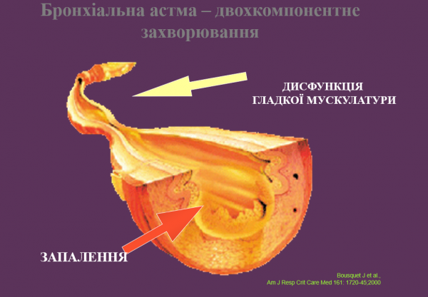 Book Page