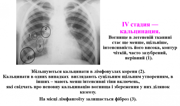 Book Page