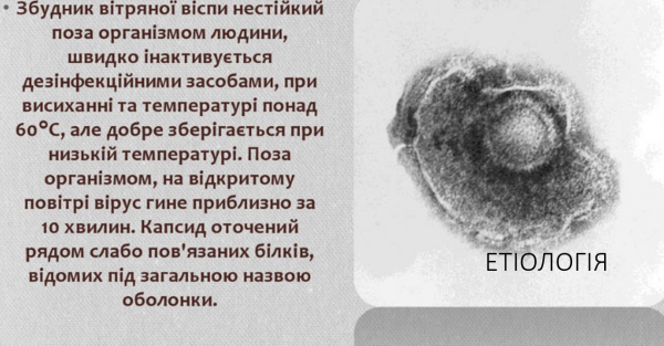 Book Page