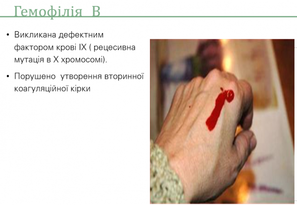 Book Page