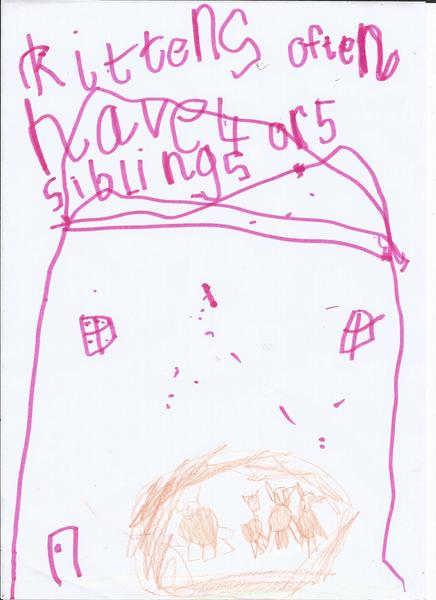 Book Page