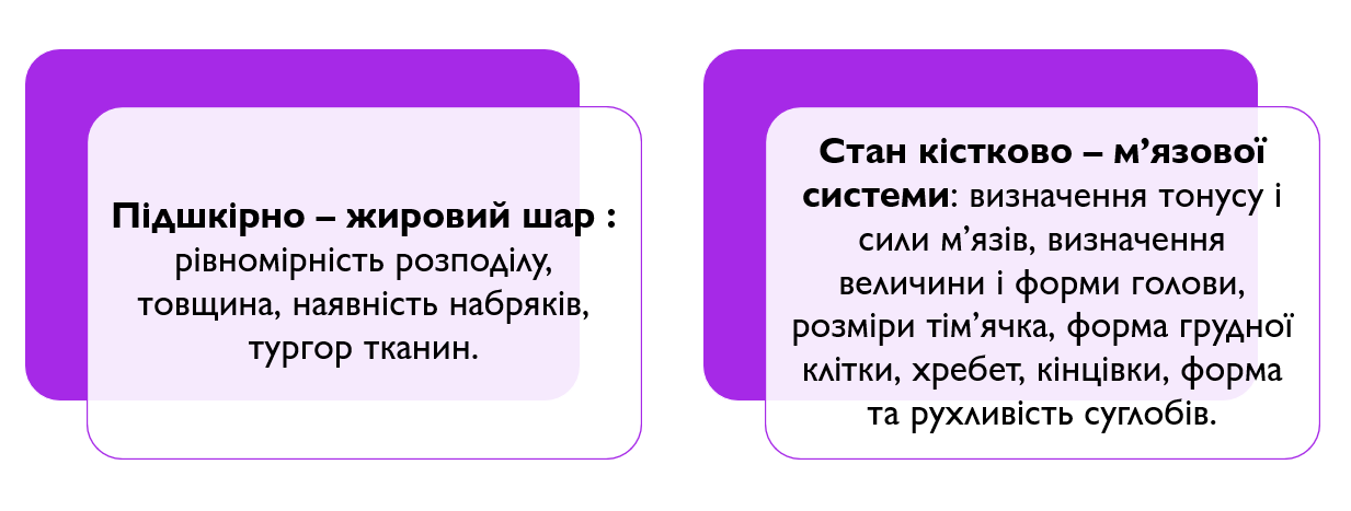 Book Page