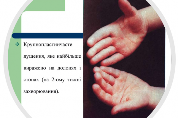 Book Page