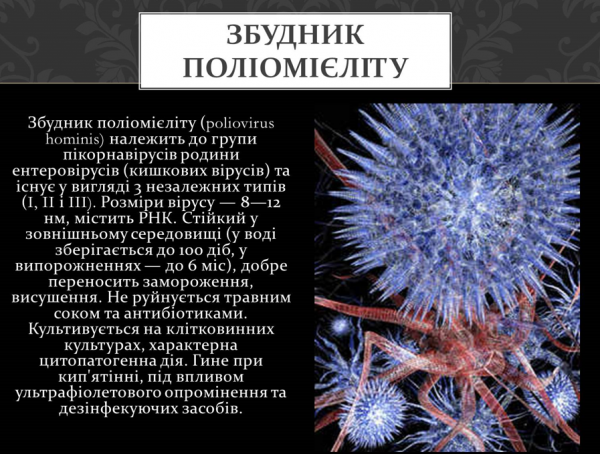 Book Page