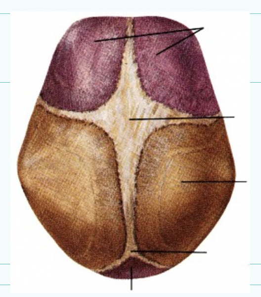 Book Page