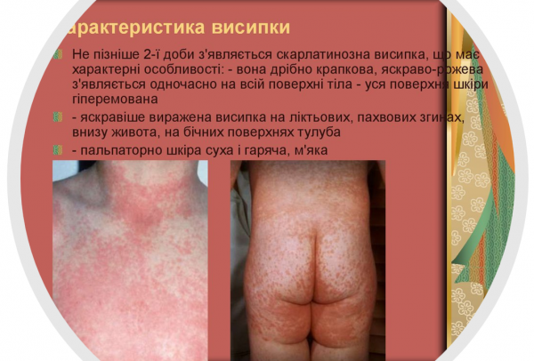 Book Page