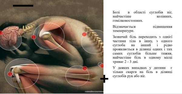 Book Page