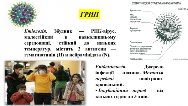 Book Page