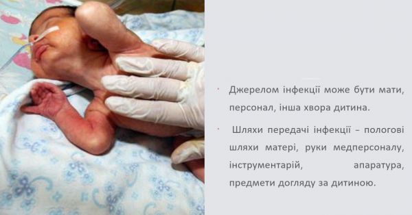 Book Page