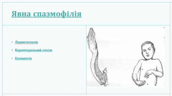 Book Page