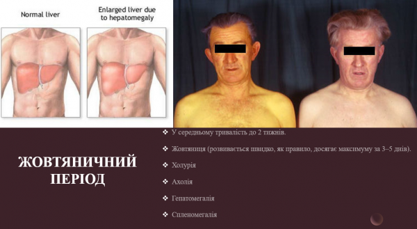 Book Page