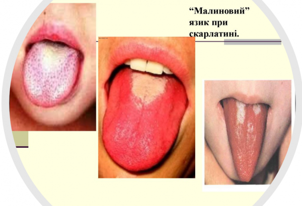 Book Page