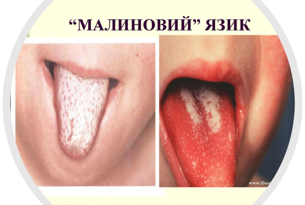 Book Page