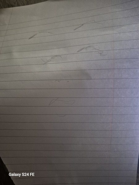 Book Page