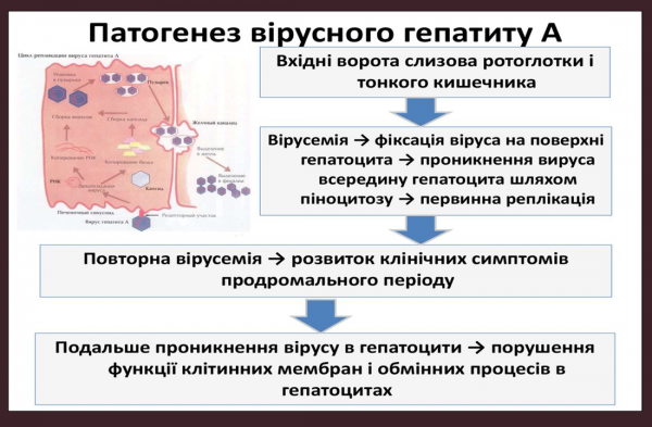 Book Page